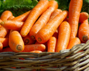 Цены на морковь падают: что произошло