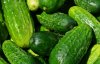 В Україні зросли ціни на тепличні огірки