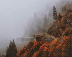 Украину 21 ноября накроют дожди и туманы