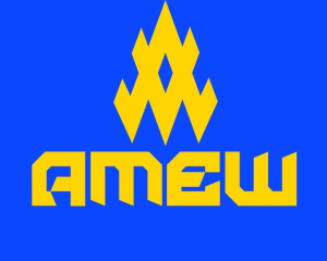 &quot;АТЕШ&quot; розповів про провальні штурми РФ під Гуляйполем та численні втрати