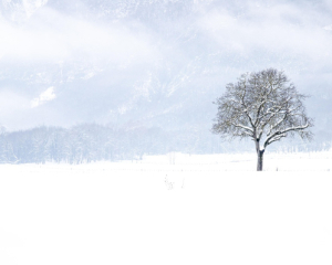 Украинцев предупредили о непогоде: циклон принесет снег, дожди и резкое похолодание