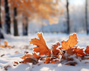 Мокрый снег и дожди возвращаются: синоптики предупредили о резких изменениях погоды на следующей неделе