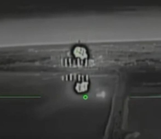 Птахи &quot;Мадяра&quot; наробили галасу в окупованому Криму