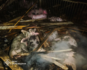 Оккупанты ударили по агропредприятию: горела ферма, есть пострадавшая