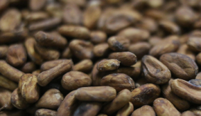 Цены на какао упали до самого низкого уровня почти за два года