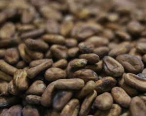 Цены на какао упали до самого низкого уровня почти за два года