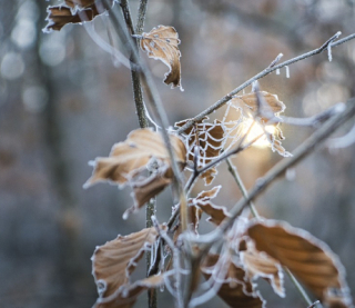 Синоптики расстроили прогнозом на вторник