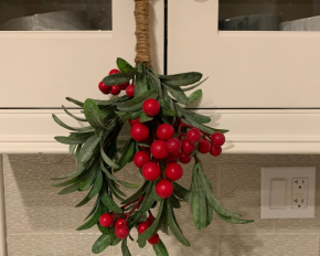 Пять цветов и растений, которым не место на кухне. Что с ними не так