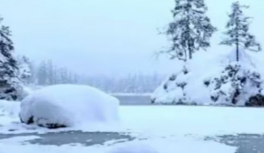 Головоломка для внимательных: найдите белого медведя на заснеженном пейзаже за 21 с