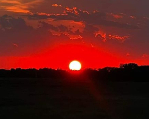 За яку роботу не варто братись жінкам, щоб зберегти своє щастя: заборони у Яків день