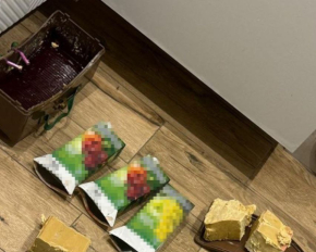 Агентурна мережа РФ готувала схрони для терактів на заході України