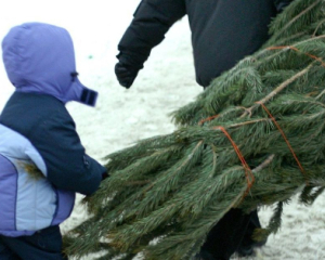 У Києві з 3 грудня запрацюють офіційні ялинкові ярмарки: оприлюднили всі локації