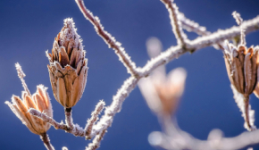 Україна входить у грудень із дощами та плюсовою температурою: прогноз від синоптикині