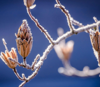 Україна входить у грудень із дощами та плюсовою температурою: прогноз від синоптикині