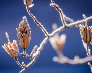 Україна входить у грудень із дощами та плюсовою температурою: прогноз від синоптикині