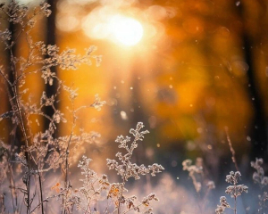 Наумів день: не хваліться успіхами та уникайте конфліктів