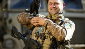 Фронтовые будни пушистиков: как коты поддерживают защитников в самые тяжелые дни