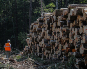 Провідна галузь РФ переживає катастрофічний спад
