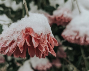 Все новые дела завершатся неудачно: что запрещено делать сегодня