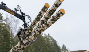 Деривативні контракти на УУБ - ефективний інструмент для забезпечення деревообробників сировиною