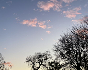 Не псуйте стосунки з рідними: про що слід пам&#039;ятати у день Варвари