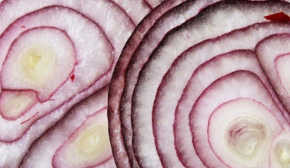 В Україні знизились ціни на цибулю