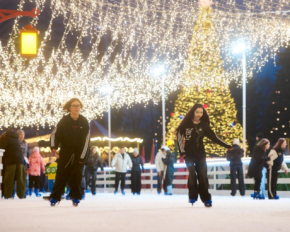 Гигантские животные, снежная песочница, каток и фудкорт: чем будет удивлять ВДНХ на праздники