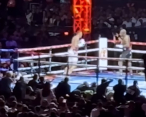 В WBC одобрили запрос Усика на бой против Уайлдера