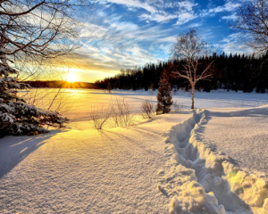 Синоптики прогнозують теплу зиму з короткими морозними періодами