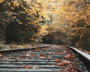 Охочі скористатися програмою &quot;3000 км Україною&quot; оформили уже 8 тисяч квитків - Укрзалізниця