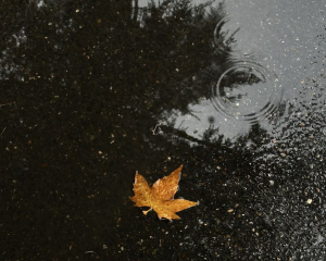 Что следует сделать сегодня женщинам, чтобы привлечь счастье: приметы дня