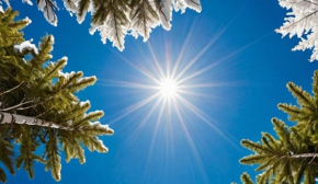 Зимнее солнцестояние 2025: когда наступит самая длинная ночь в году и чего избегать в этот день