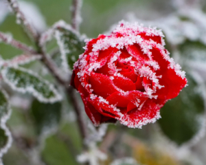 В Украине испортится погода - обновленный прогноз