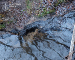 В Винницкой области зафиксировали загрязнение реки мазутом - следователи ищут причастных