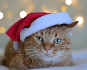 Розповіли про погоду на Різдво та Новий рік