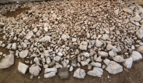 Курган у Фрібурі змінює розуміння соціального устрою західних Альп