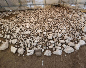 Курган во Фрибуре изменяет понимание социального устройства западных Альп