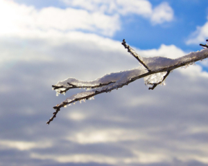Дождь и мокрый снег: какая погода будет завтра