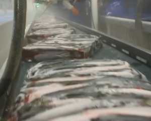 В России впервые за 15 лет падает производство продуктов - СМИ