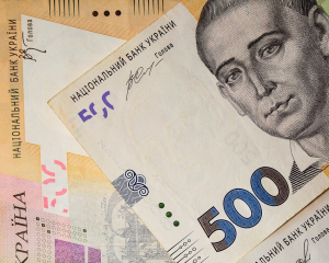 Украинцы подали более 15,8 млн заявлений на зимнюю поддержку