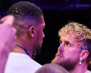 Лапин заявил, что Пол завершит карьеру после боя с Джошуа