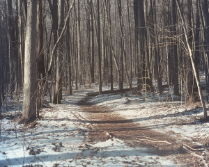У що одягнутися сьогодні, щоб наступний рік не прожити у злиднях: прикмети дня
