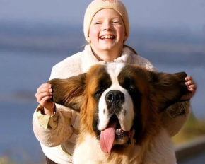 Які собаки люблять поспати: п'ять порід, яких не стягнеш з ліжка