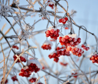 В Україну йде похолодання - коли вдарить -7°С