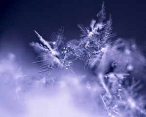 Назвали области, где сегодня будет дождь и снег