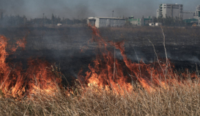 РФ усугубляет штурмы Мирнограда: продолжаются ожесточенные бои