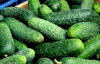 В Україні падають ціни на огірки