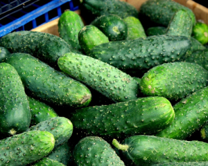 В Украине падают цены на огурцы