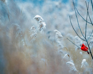 Синоптики обновили прогноз на пятницу