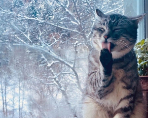 Привлечете неприятности: что запрещено делать сегодня